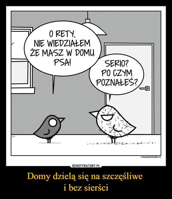 
    Domy dzielą się na szczęśliwe 
i bez sierści