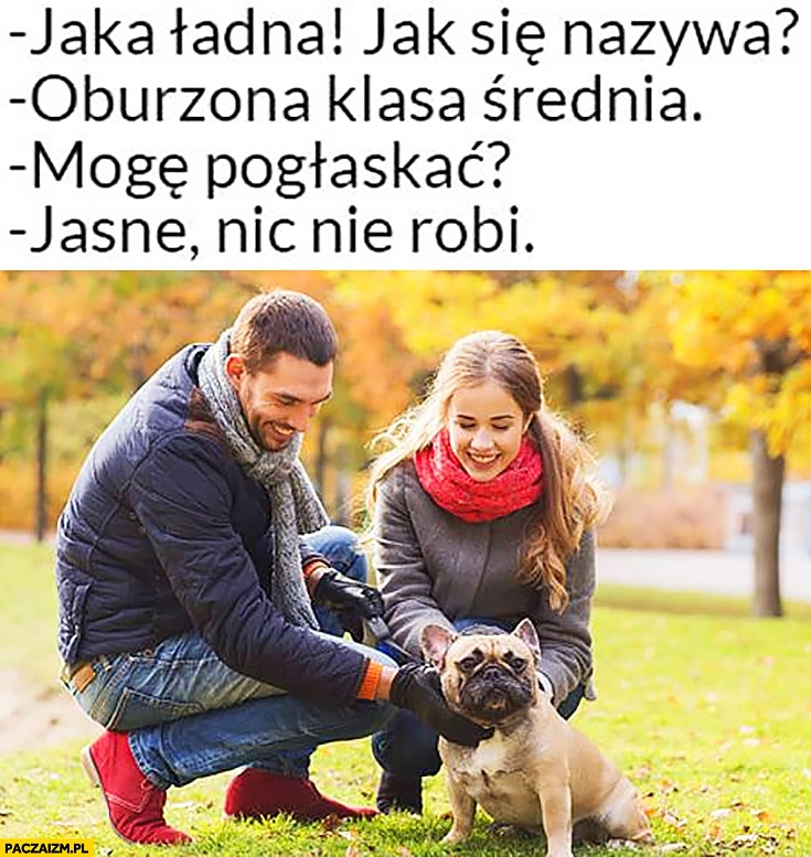 
    Jaki ładny piesek suczka, jak się nazywa? Oburzona klasa średnia. Mogę pogłaskać? Jasne, nic nie robi