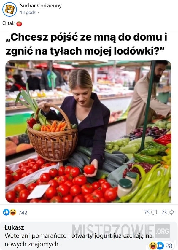 
    Lodówka