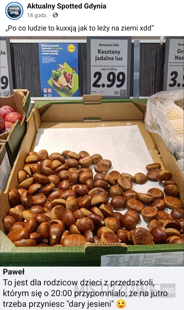 
    Kasztany