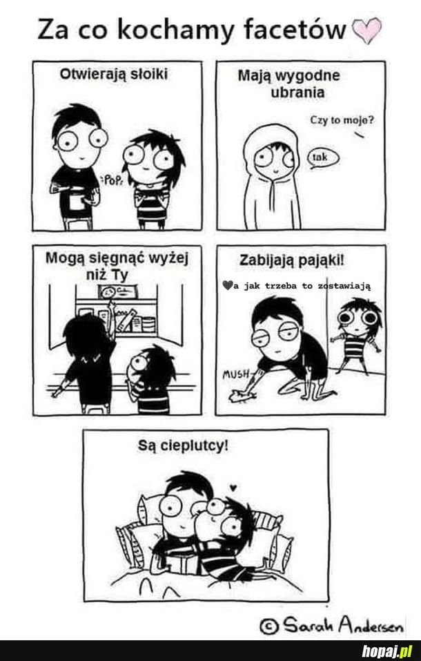 
    Między innymi