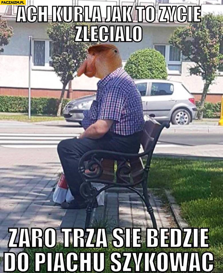 
    Ach kurła jak to życie zleciało, zaraz trza się będzie do piachu szykować typowy Polak nosacz małpa