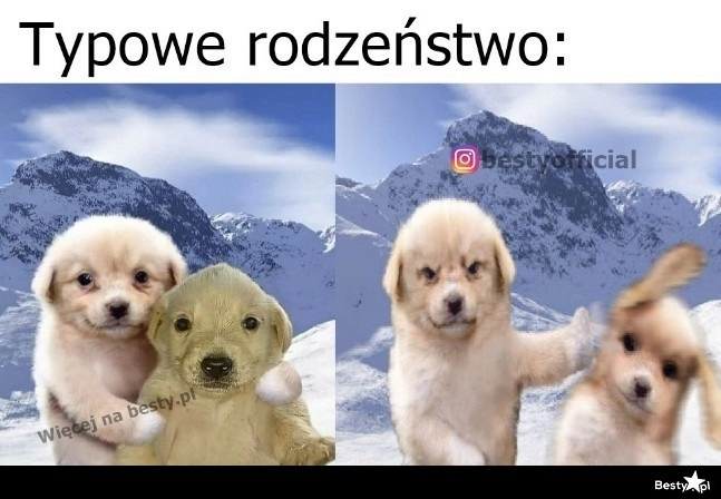 
    Rodzeństwo 