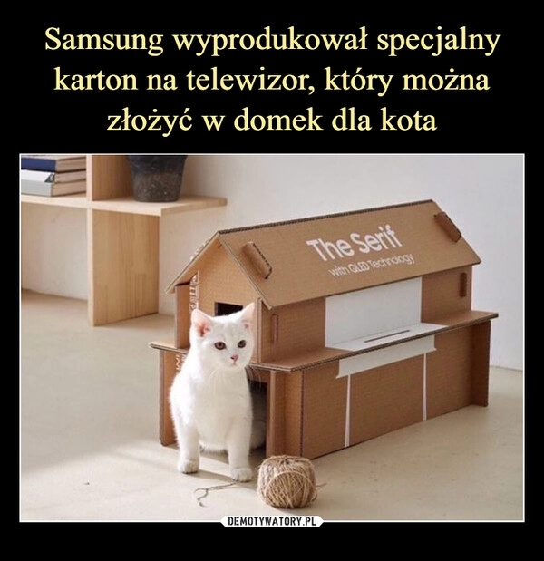 
    Samsung wyprodukował specjalny karton na telewizor, który można złożyć w domek dla kota