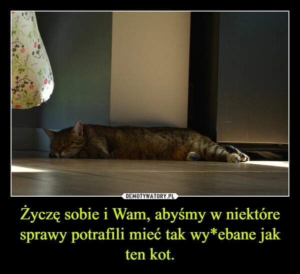 
    Życzę sobie i Wam, abyśmy w niektóre sprawy potrafili mieć tak wy*ebane jak ten kot.