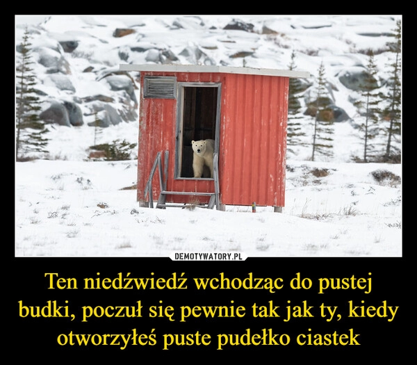 
    Ten niedźwiedź wchodząc do pustej budki, poczuł się pewnie tak jak ty, kiedy otworzyłeś puste pudełko ciastek