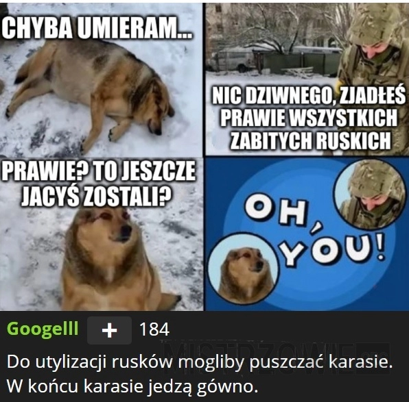 
    Nie pytaj psa z Bachmutu, czemu jest taki tłusty