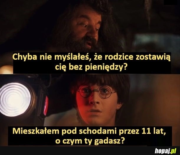 
    Harry Potter