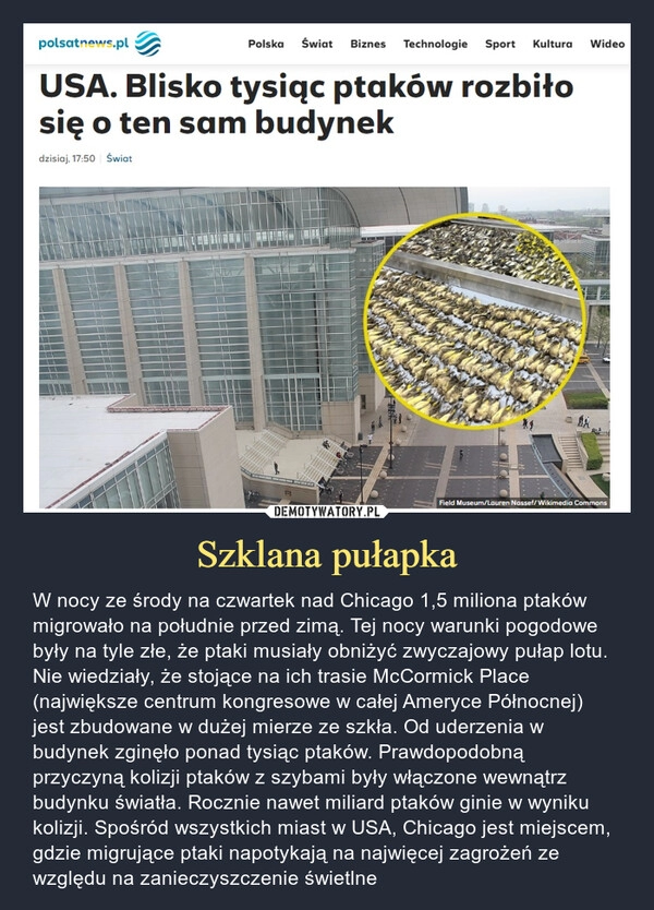 
    Szklana pułapka