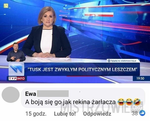 
    Paski w TVP