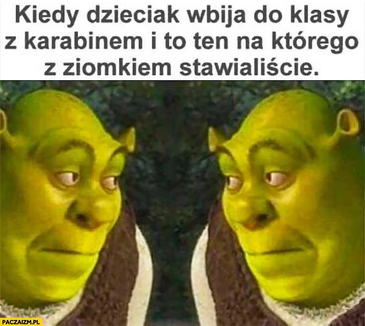 
    Shrek kiedy dzieciak wbija do klasy z karabinem i to ten na którego z ziomkiem stawialiście