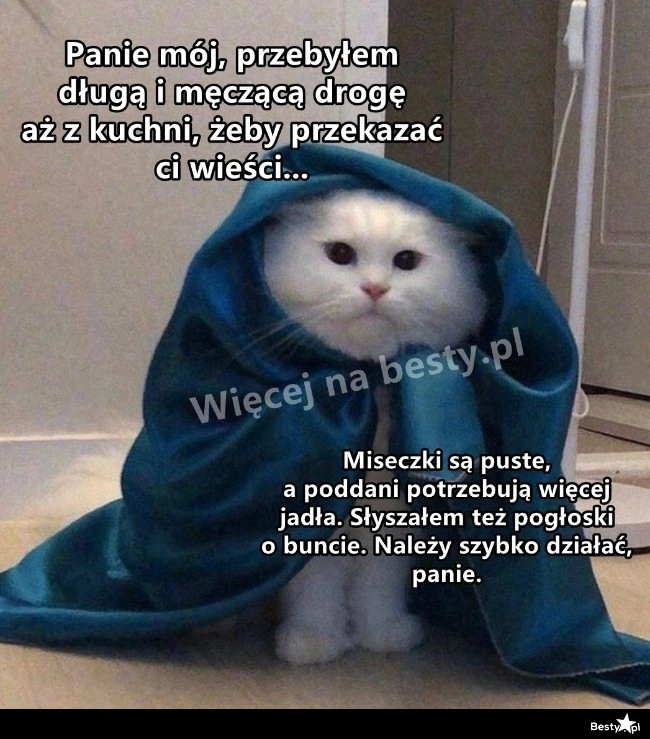 
    Wieści z kuchni 