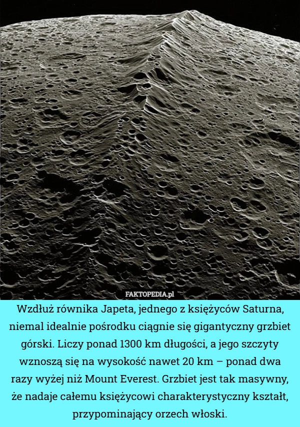 
    Wzdłuż równika Japeta, jednego z księżyców Saturna, niemal idealnie pośrodku