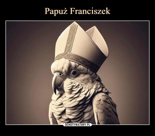 
    Papuż Franciszek