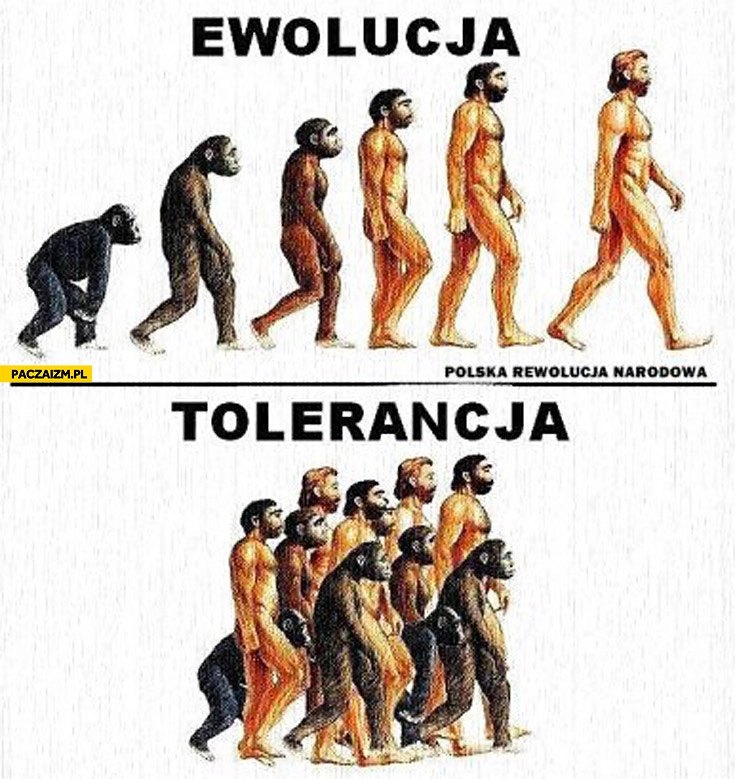 
    Ewolucja tolerancja