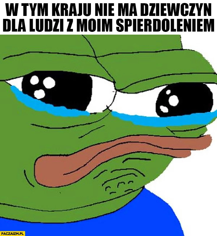 
    W tym kraju nie ma dziewczyn dla ludzi z moim spierdzieleniem smutna żaba Pepe