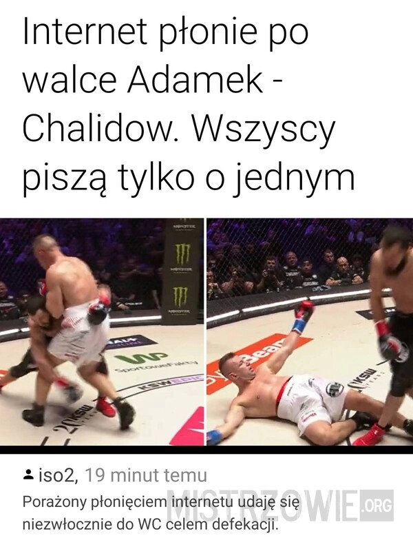 
    Adamek - Chalidow