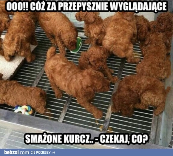 
    Tymczasem w KFC