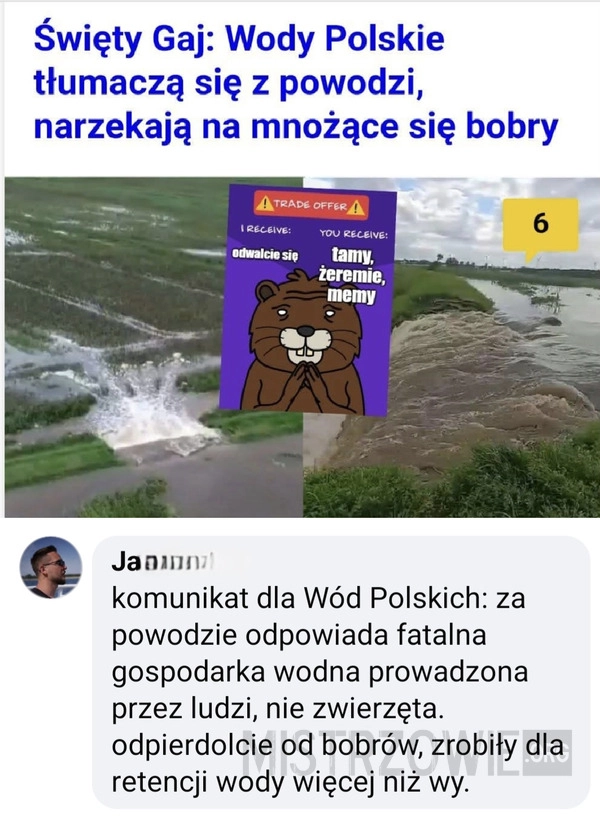 
    Bóbr