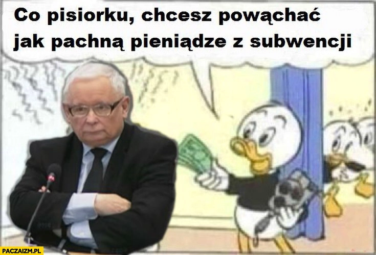 
    Co pisiorku chcesz powąchać jak pachną pieniądze z subwencji Kaczyński PiS Prawo i Sprawiedliwość