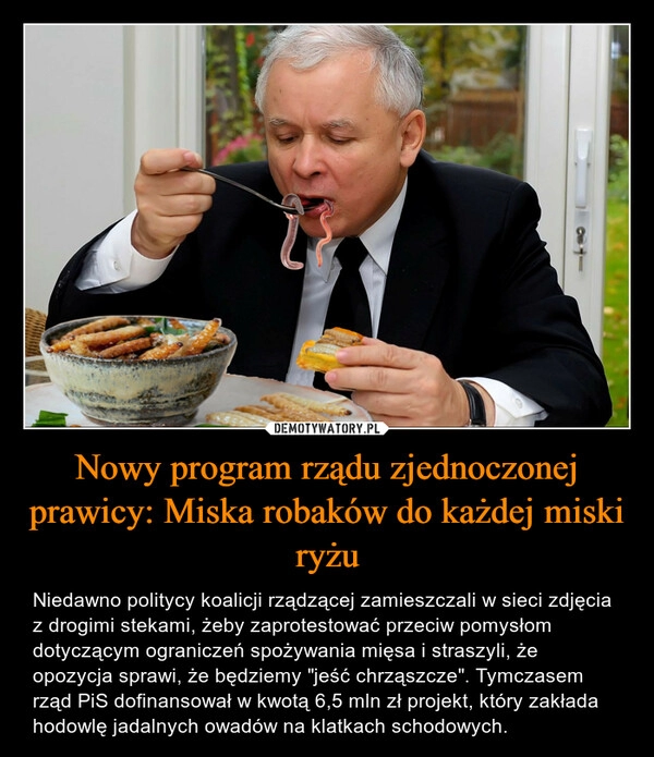 
    Nowy program rządu zjednoczonej prawicy: Miska robaków do każdej miski ryżu