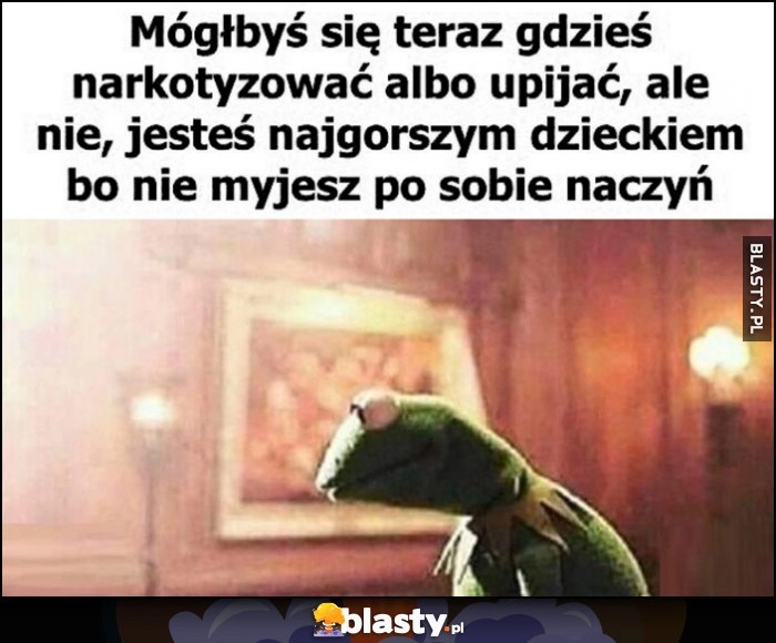 
    Mógłbyś się teraz gdzieś narkotyzować albo upijać, ale nie, jesteś najgorszym dzieckiem bo nie myjesz po sobie naczyń kermit