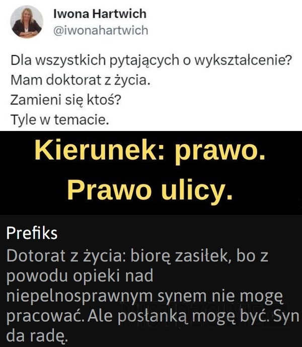 
    Wykształcenie