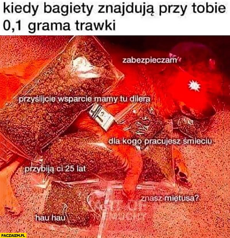 
    Kiedy bagiety znajdują przy Tobie 0,1 grama trawki: zabezpieczam, przyślijcie wsparcie mamy tu dilera, dla kogo pracujesz śmieciu, przybiją ci 25 lat
