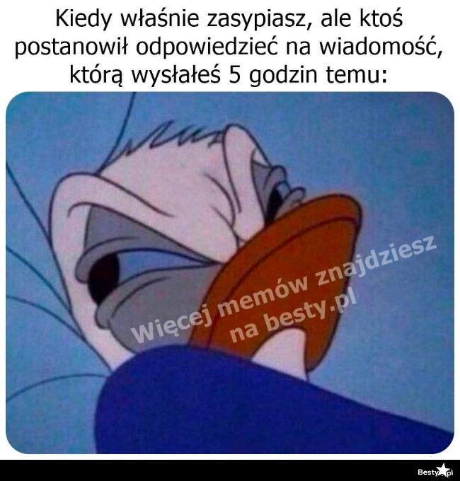 
    No w samą porę 