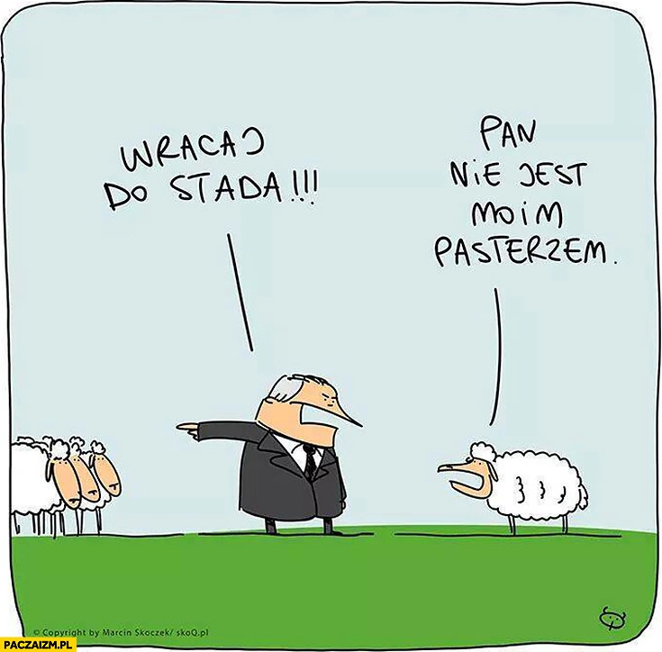 
    Wracaj do stada, pan nie jest moim pasterzem Skoq