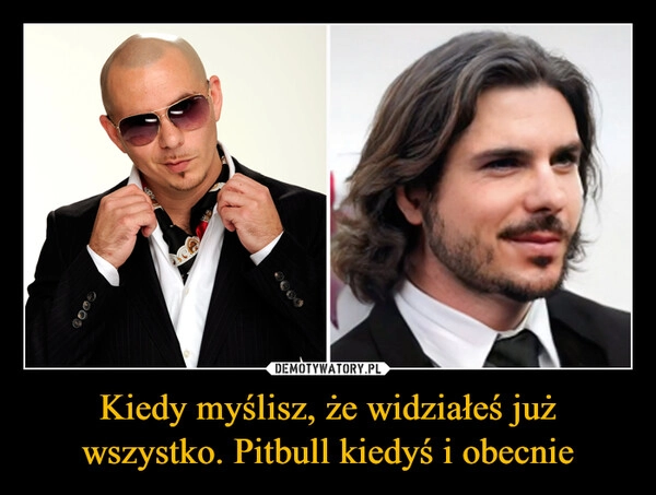 
    Kiedy myślisz, że widziałeś już wszystko. Pitbull kiedyś i obecnie