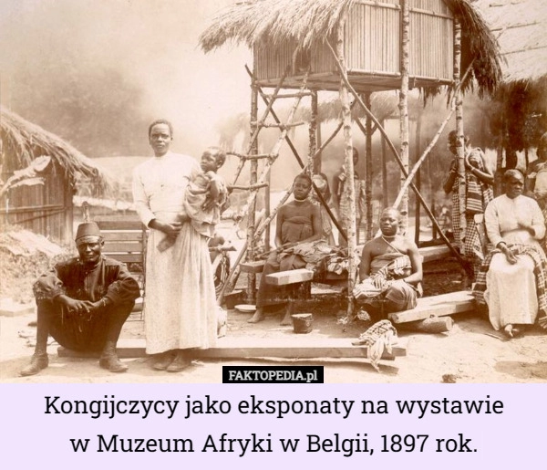 
    Kongijczycy jako eksponaty na wystawie
 w Muzeum Afryki w Belgii, 1897 rok.