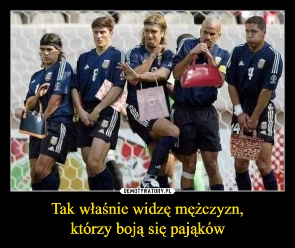 
    Tak właśnie widzę mężczyzn,
którzy boją się pająków