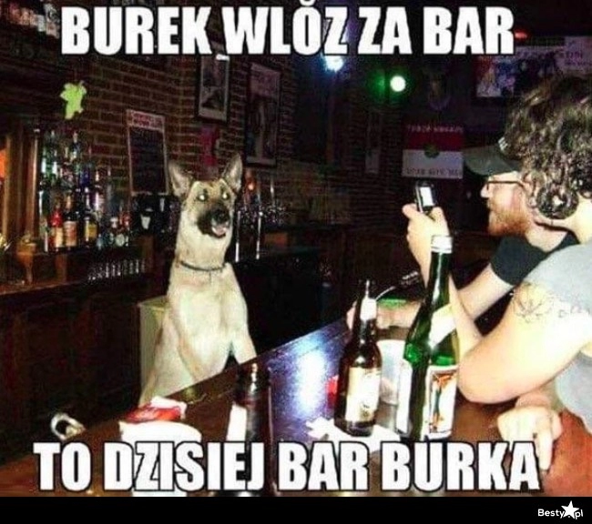 
    Barbórka 