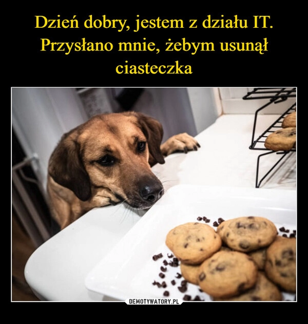 
    Dzień dobry, jestem z działu IT. Przysłano mnie, żebym usunął ciasteczka 