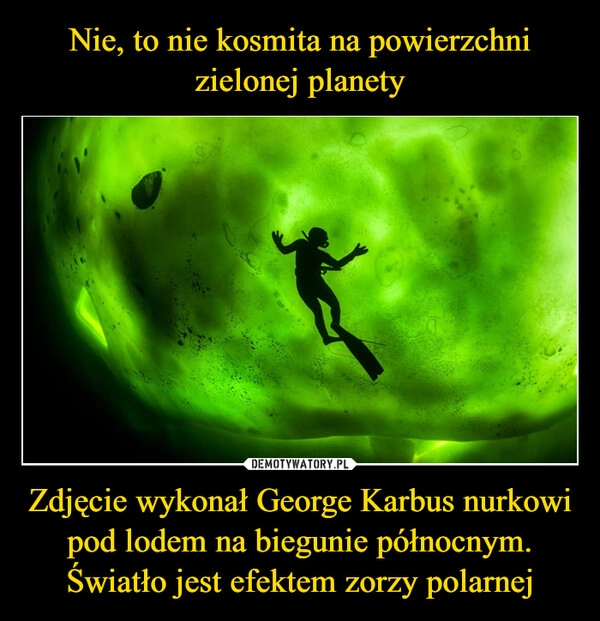 
    Nie, to nie kosmita na powierzchni zielonej planety Zdjęcie wykonał George Karbus nurkowi pod lodem na biegunie północnym. Światło jest efektem zorzy polarnej