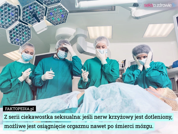 
    Z serii ciekawostka seksualna: jeśli nerw krzyżowy jest dotleniony, możliwe