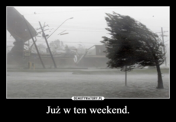 
    Już w ten weekend.