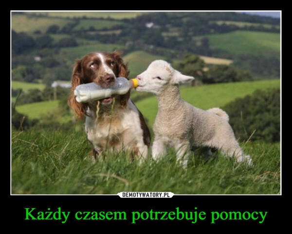 
    Każdy czasem potrzebuje pomocy