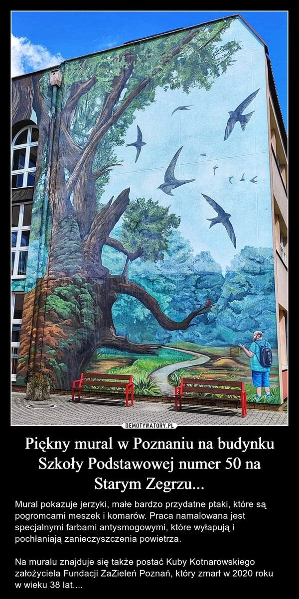 
    Piękny mural w Poznaniu na budynku Szkoły Podstawowej numer 50 na Starym Zegrzu...