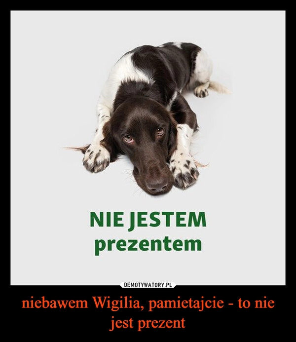 
    niebawem Wigilia, pamietajcie - to nie jest prezent