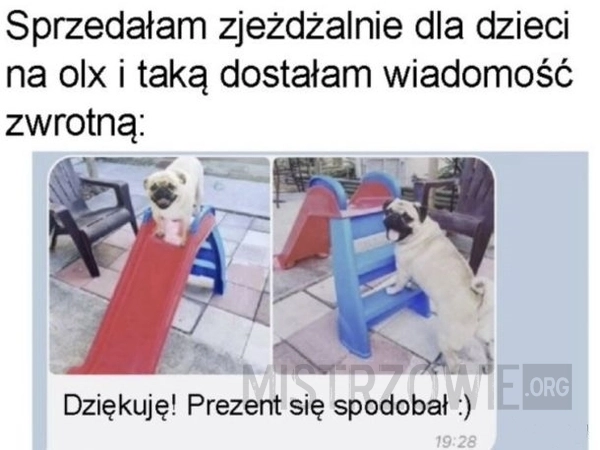 
    Szczęśliwe psiecko