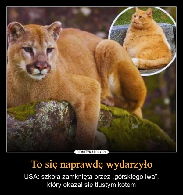 
    To się naprawdę wydarzyło