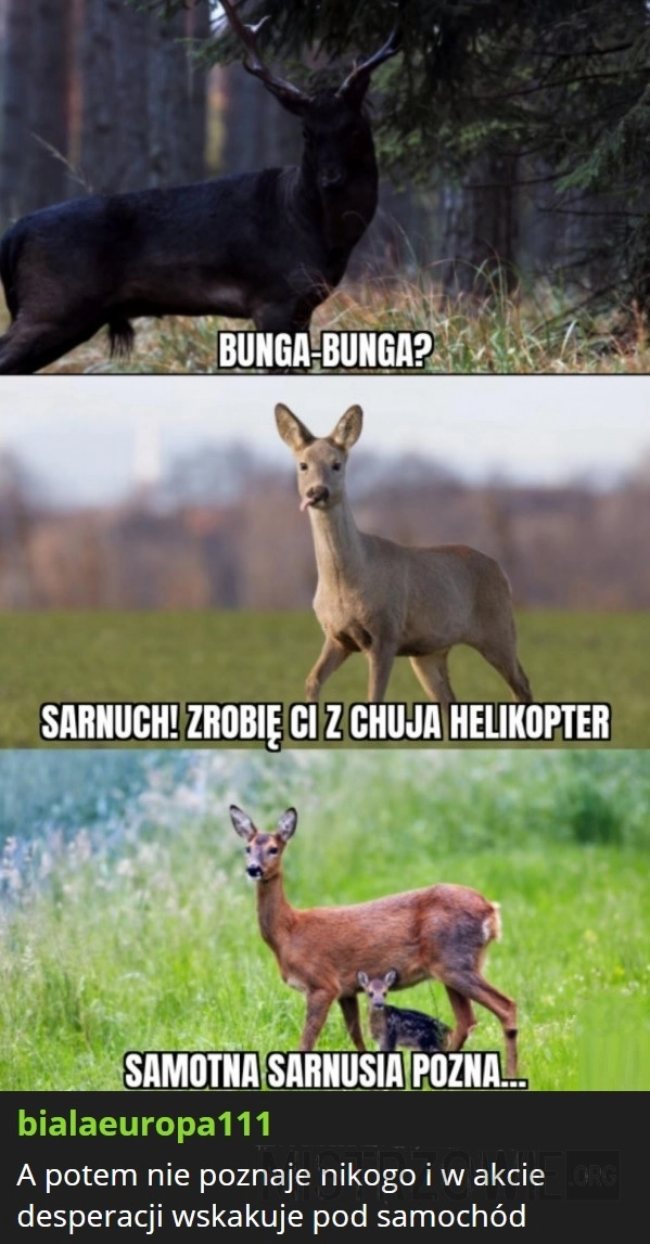 
    Sarna