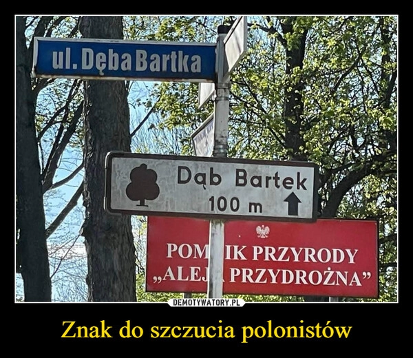 
    Znak do szczucia polonistów