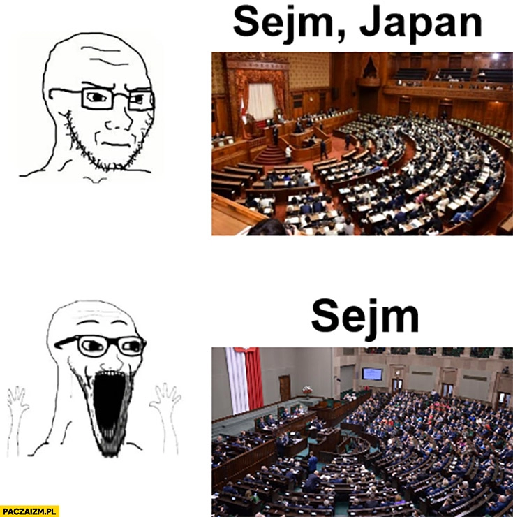 
    Sejm w Polsce vs sejm, Japan reakcja