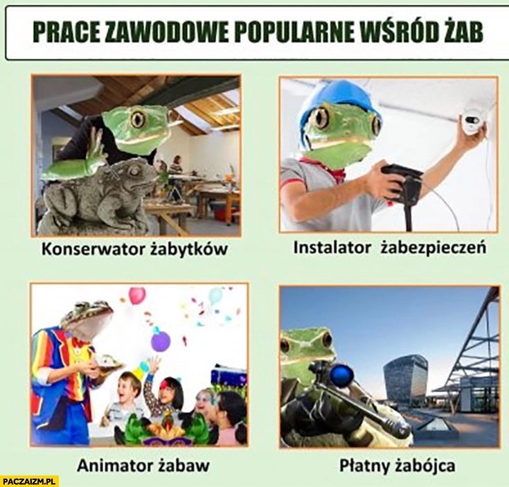 
    Prace zawodowe popularne wśród żab: konserwator żabytków, instalator żabezpieczeń, animator żabaw, płatny żabójca