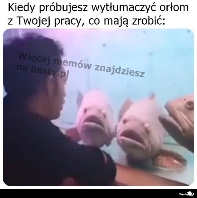 
    Ciężkie przypadki 