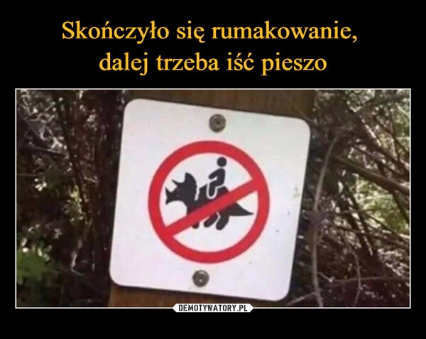 
    Skończyło się rumakowanie, 
dalej trzeba iść pieszo