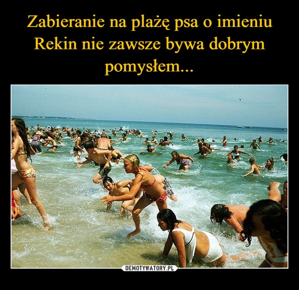 
    Zabieranie na plażę psa o imieniu Rekin nie zawsze bywa dobrym pomysłem...